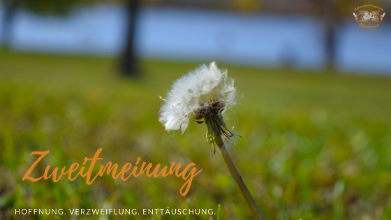 Zweitmeinung Enttäuschung Hoffnung